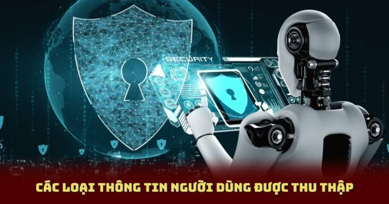 Các loại thông tin người dùng được thu thập
