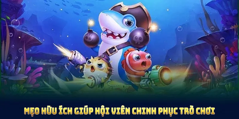 Những mẹo hữu ích giúp hội viên chinh phục trò chơi