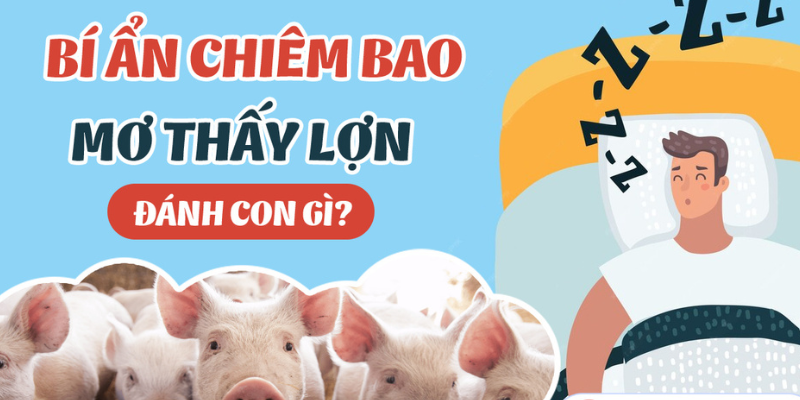 Mơ thấy heo là điềm gì? Đánh con gì để rước tài lộc?